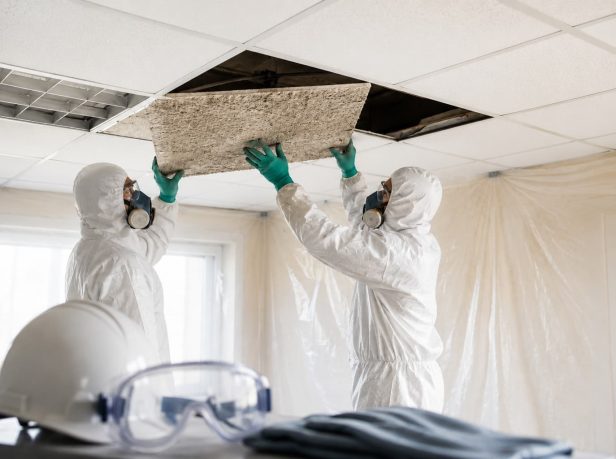 Asbestos Ceiling Tile Removal Surrey (2)