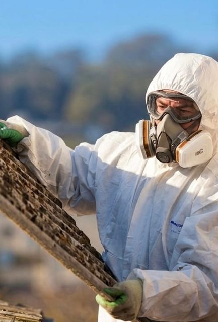 UKATA-trained operative in full PPE removing a degraded corrugated asbestos cement sheet from a Surrey home.